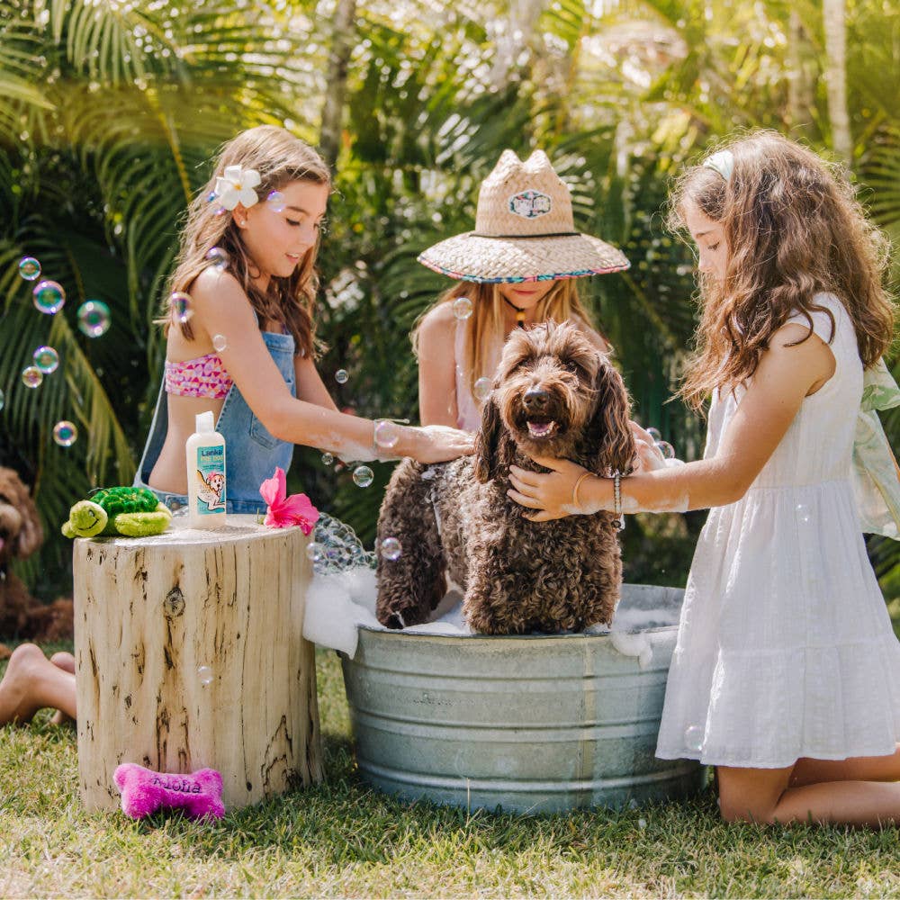 Poi Dog Shampoo